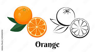 orange fruit icon set isolated on white