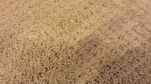 bleach stains on carpet spot dye repair