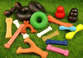 33 best dog toys 1 000 tested and