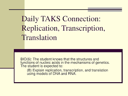 Ppt Daily Taks Connection Replication Transcription