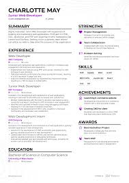 5 junior web developer resume exles