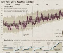 Edward Tufte Forum New York City Weather Chart