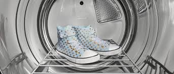 can-you-put-shoes-in-the-washer