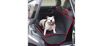 Dog Friendly Accessories For Your Car
