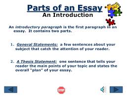 Personal statement graduate school human resources how to write an essay  online