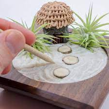 Zen Garden Air Plants Handmade
