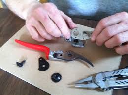 cleaning sharpening your pruners