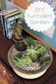 How To Make A Succulent Garden Miss