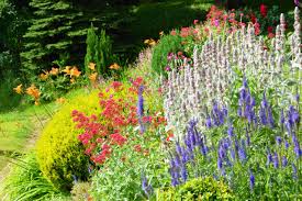 tried and true perennials for your