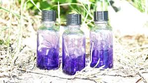 Faded Purple Glass Dropper Bottle