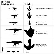 Jurassic Highway Thousands Of Dino Footprints Uncovered