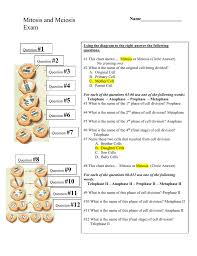Lesson 15d Comparing Mitosis And Meiosis Quiz Key