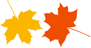 Jesień Defoliacja Liść Opadanie - Darmowa grafika wektorowa na Pixabay -  Pixabay