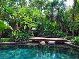 Bali Landscape Backyard Pool