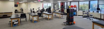 professional physical therapy kew