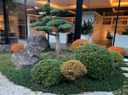Japanese Trees And Plants For