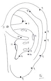 Ear Acupuncture Points