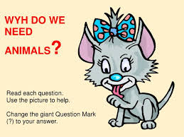 Can't we do without animals in medical research? Ppt Wyh Do We Need Animals Powerpoint Presentation Free Download Id 3395665