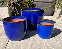 Glazed Blue Vaso Egg Pot Short Set