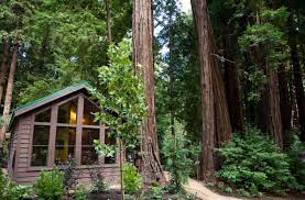 big sur hotels a redwood adventure on