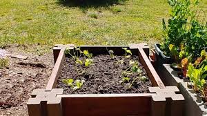 building a diy raised vegetable garden bed