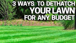 Dethatching is so hard on turf because, in addition to thatch, a dethatching machine often removes crowns, leaves, and, in some cases, the roots of grass plants. Improve Your Lawn With Dethatching 3 Ways How To Do It For Any Budget Youtube