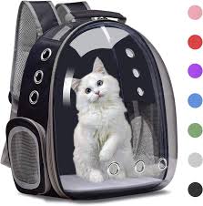 the 12 best cat carriers of 2023