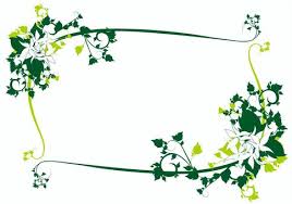 free vectors vines and white flower frame