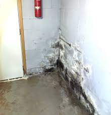 hiring a basement waterproofing company