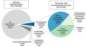 Delivery Hospitalizations Involving Preeclampsia And