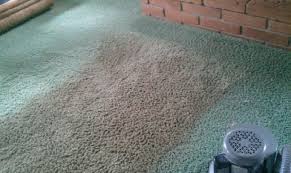 carpet cleaning chem dry of north county