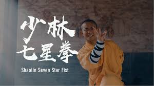 shaolin seven star fist the required