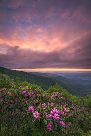 craggy gardens blue ridge parkway