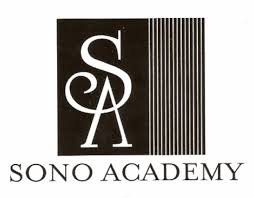 sono academy tips for new careers