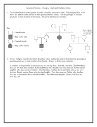 Pedigree Charts And Multiple Alleles Practice