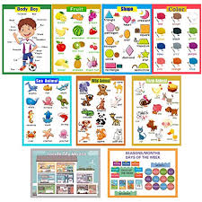 9 Laminated Educational Wall Charts School Classroom Posters Class Decorations For Kindergarten Wild Farm Sea Animal Body