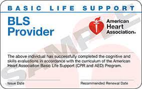 We did not find results for: Bls Provider New Renewal Healthcare Classes Daily Or Online