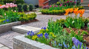 Annual Plants Perfect For Your Front Yard