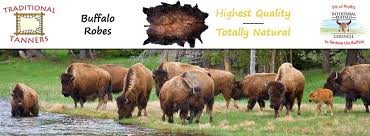 buffalo hides robes rugs natural