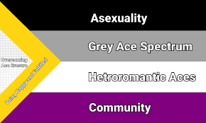 I saw some people unhappy with Ally inclusion in the Ace flag and with the  flag being too plain and so I made this : r/asexuality