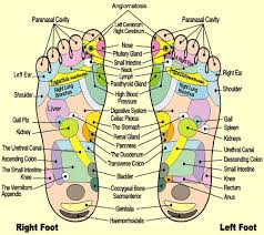 Reflexology Foot Map Reflexology Information