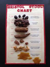 A Bristol Stool Chart Cake There Are Plans Afoot To Make