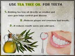 tea tree oil and your health