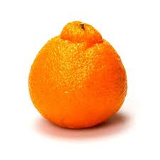 sumo tangerine 1 ea giant