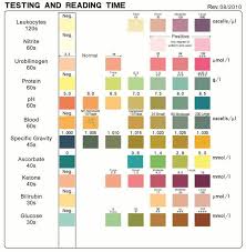 Detailed Urinalysis Chart Results Urine Drug Test Color