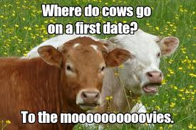 While you're at it, you can confuse everyone who reads the comments by answering this. 18 Jokes That Will Definitely Make You Groan Cute Jokes Funny Jokes For Kids Cows Funny