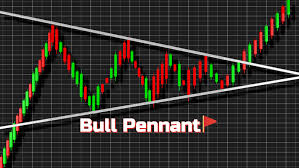 Ignite Stock Is Forming The Perfect Bull Pennant Chart