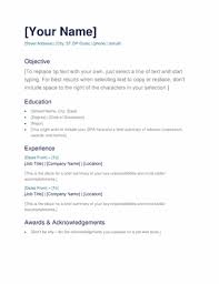 It's tough to say there's another option that could be the best cv template word download for you. Simple Resume