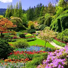Victoria Butchart Gardens Tour From
