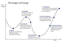 The Seven Stages Of Change The Greening Of Gavin